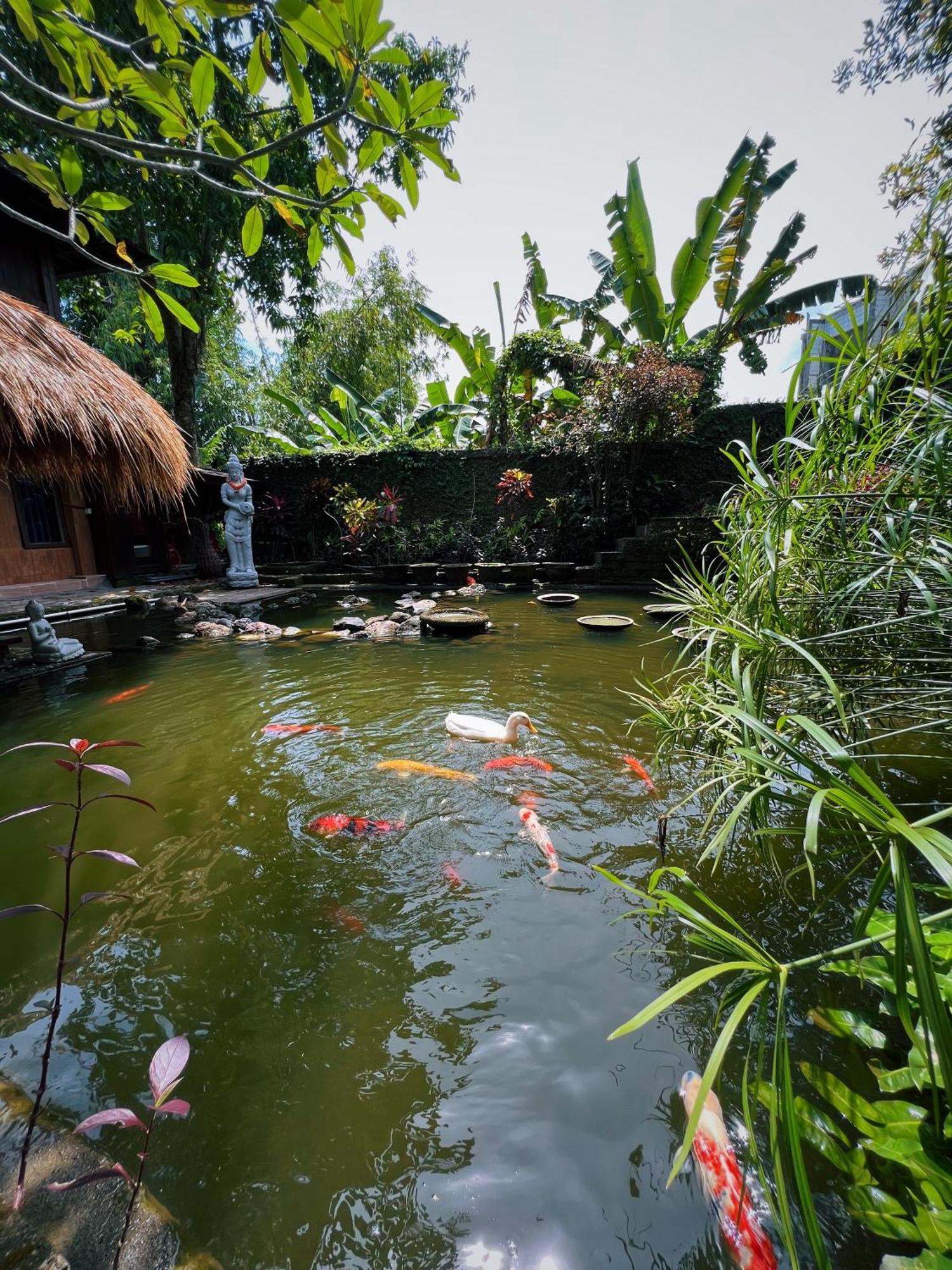 Villa Neshama Canggu Exteriér fotografie