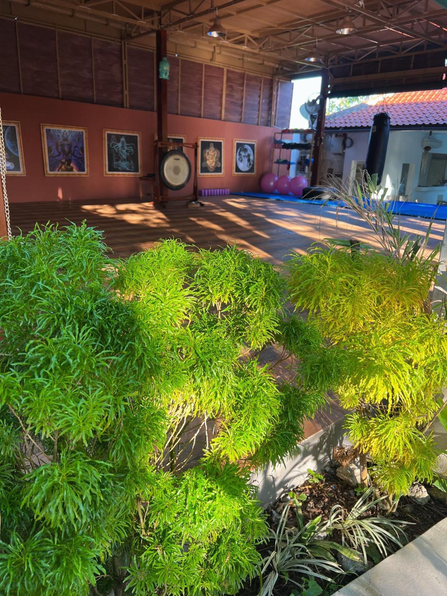 Villa Neshama Canggu Exteriér fotografie