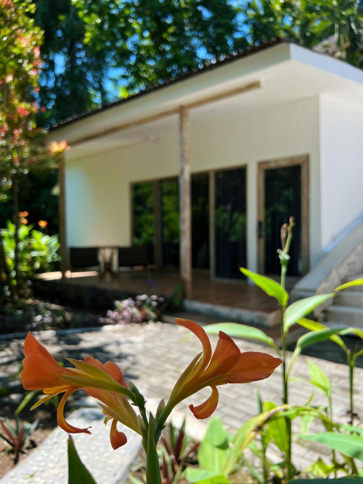 Villa Neshama Canggu Exteriér fotografie