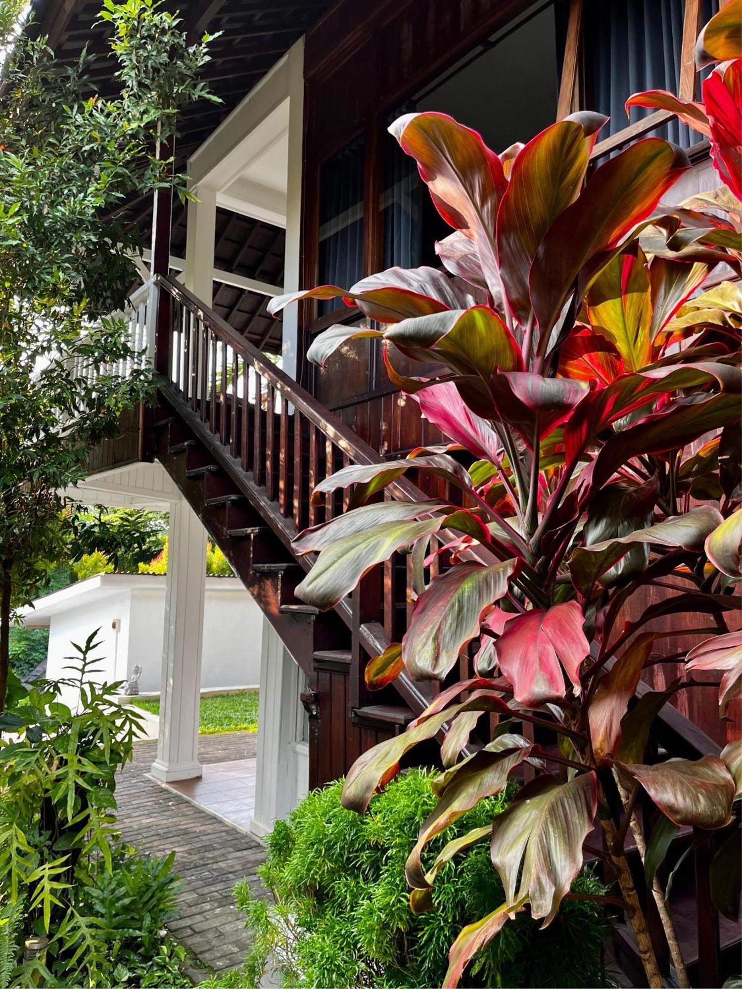 Villa Neshama Canggu Exteriér fotografie
