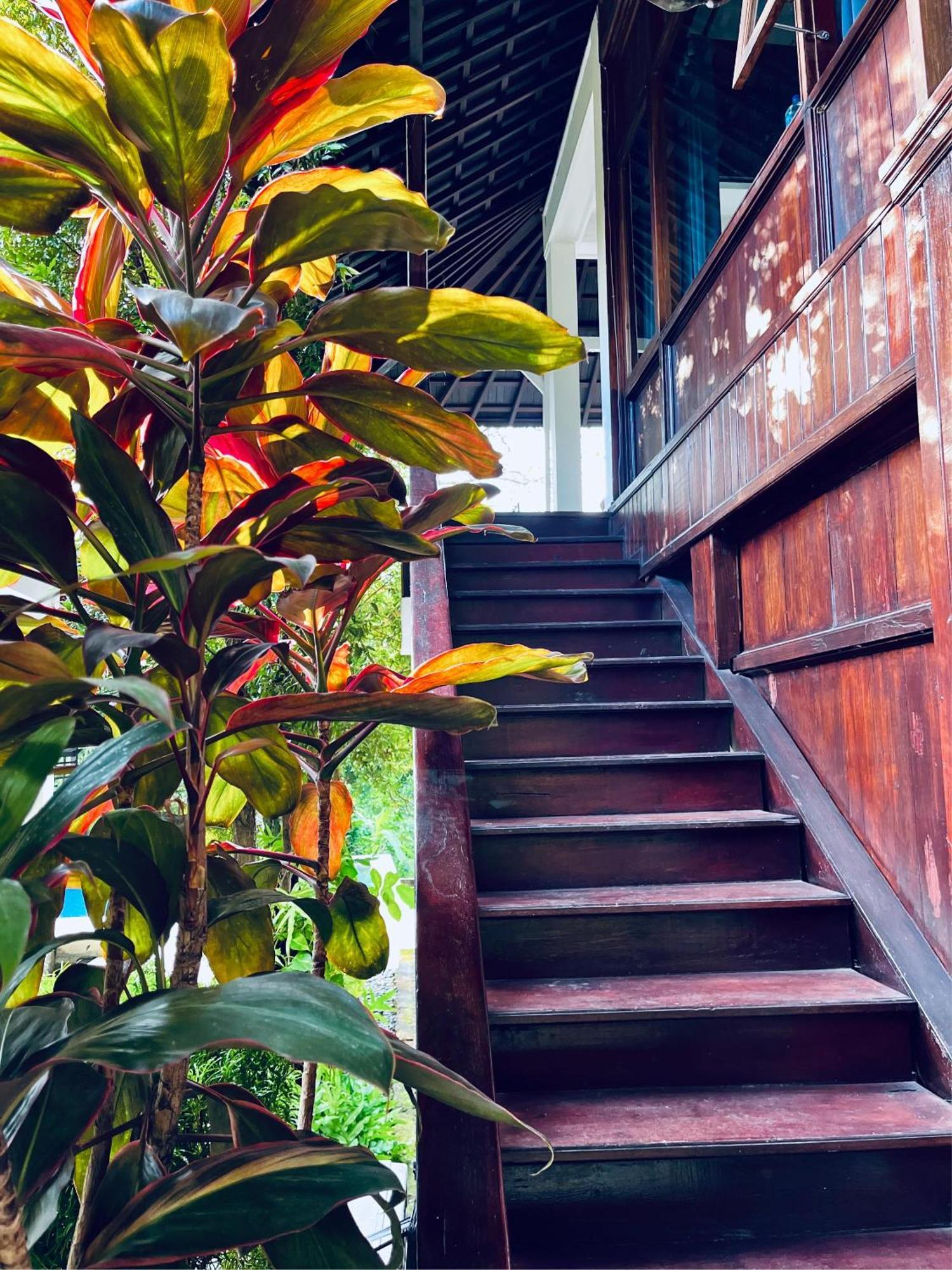 Villa Neshama Canggu Exteriér fotografie